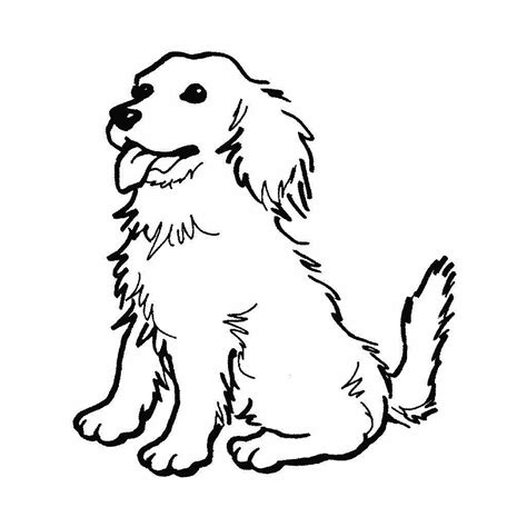 Dibujos De Perros Para Pintar Dibujos De Perros Para Colorear Dibujos De Perros Dibujo De