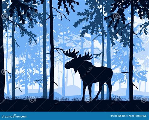 Moose With Antlers Posing Forest Background Silhouettes Of Trees