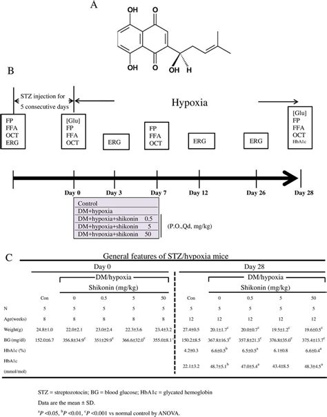 Development Of Diabetes In C Bl Mice Treated With Streptozotocin