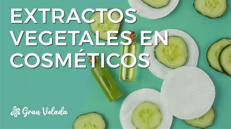 Diferencias Entre Los Diferentes Extractos Vegetales En Cosm Tica Youtube