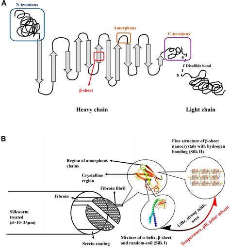 Frontiers Research Progress Of Natural Silk Fibroin And The