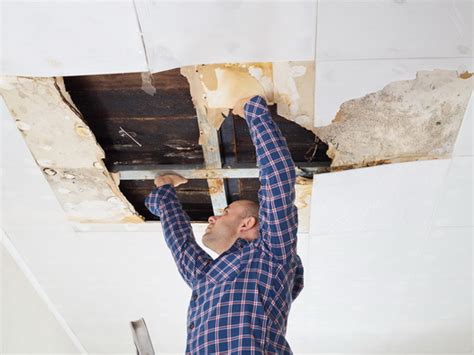 Mold Damage Claims In Naples Fl