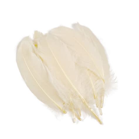 Goose Feathers, 6-8 Loose Goose Pallet Feathers IVORY, Ivory Feathers ...