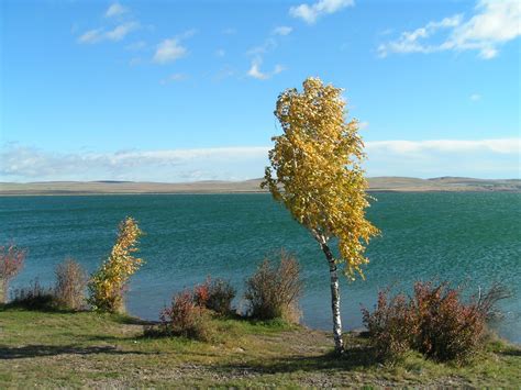 Озеро шира хакасия - 80 фото