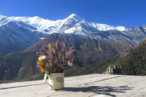 Day Private Annapurna Circuit Trek From Kathmandu