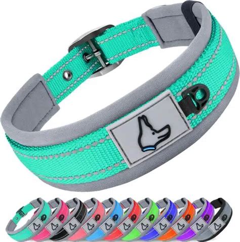 Best Dog Collars For Comfort Durability And Style Alpha Paw