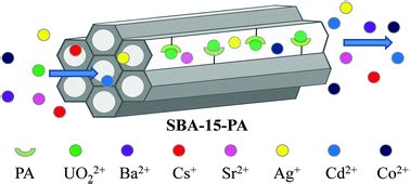 Mesoporous Silica SBA 15 Functionalized With Phosphonate Derivatives