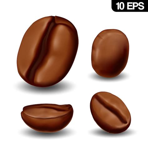 Premium Vector Realistic Coffee Beans