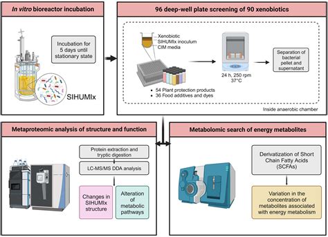 Frontiers High Throughput Screening Of The Effects Of 90 Xenobiotics