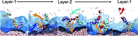 A Water Transport Event Via The Octanol Hinge From The Aqueous To