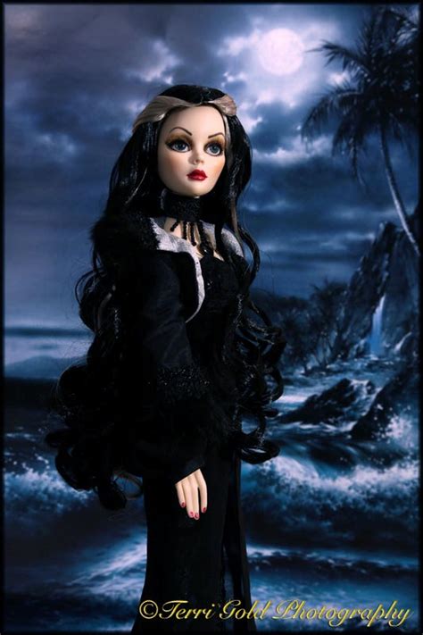 Collecting Fashion Dolls By Terri Gold Evangeline And The Super Moon