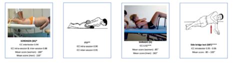 EVALUATION FONCTIONNELLE DES MUSCLES DU TRONC GOUDARD Cartes Quizlet