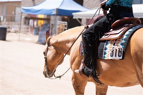 Cactus Reining Classic 2024 Marlo Shantee