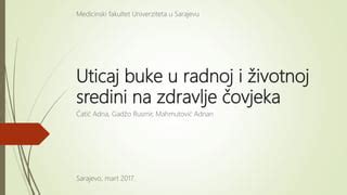 Uticaj buke u radnoj i životnoj sredini na zdravlje čovjeka PPT