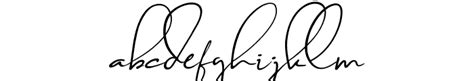 Brilliant Signature 1 Slant Font Script Elegant What Font Is