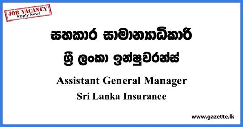 Assistant General Manager Sri Lanka Insurance Vacancies 2023 Gazettelk