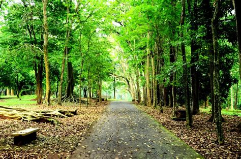 PANORAMA KEBUN RAYA PURWODADI | OUTBOUND INDONESIA