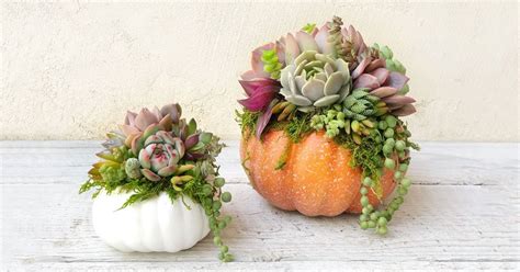 20 Pretty Pumpkin Decor Ideas for Fall and Halloween 2022