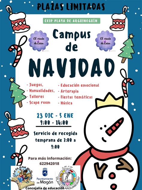 Campus De Navidad Organizado Con El AMPA