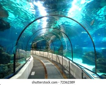 2,309 Tunnel Aquarium Images, Stock Photos & Vectors | Shutterstock