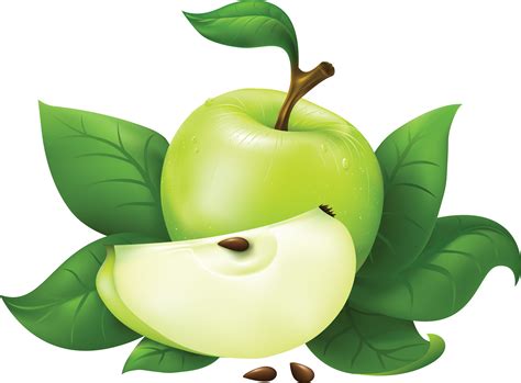 green apple clipart transparent background  dakota burhop blog