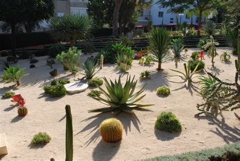 Desert landscaping ideas – basic rules to design a great backyard