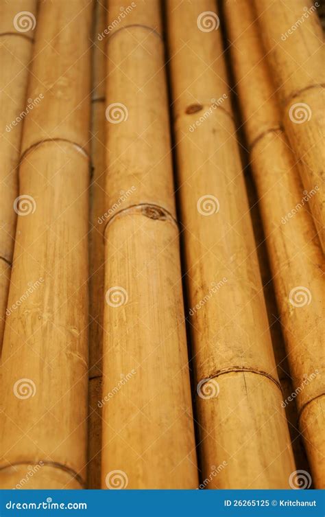 Dry Bamboo Stock Image Image Of Stem Rough Stalk Pattern 26265125