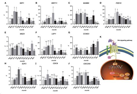 Candidate Gene Expression Analysis A J The Relative Expression Of