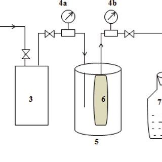 Schematic Diagram Of The Experimental Setup For Gas Permeation