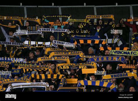 Hellas verona fans hi-res stock photography and images - Alamy