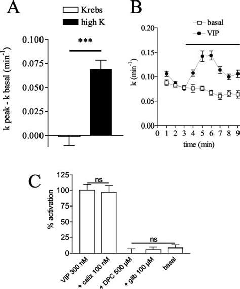 Vip Activated Smooth Muscle Cftr Cl Channels A Histograms Showing