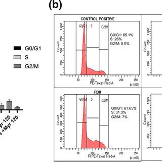 Flow Cytometric Analysis Of Cell Cycle Kinetics In Mv Cells Exposed