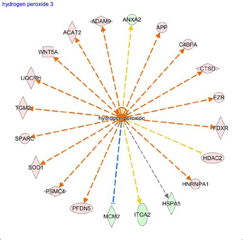 Ipa Comparison Analysis Predicted Hydrogen Peroxide As A Top Upstream Download Scientific