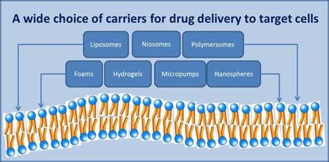 Processes Free Full Text Drug Carriers Classification