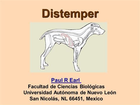 Distemper Paul R Earl Facultad De Ciencias Biológicas Universidad Autónoma De Nuevo León San