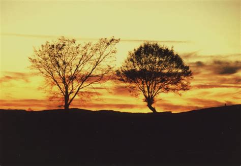 Sunset in autumn Free Photo Download | FreeImages