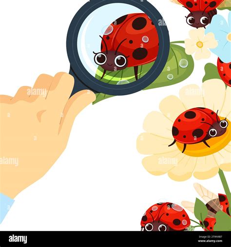 Looking At Ladybug Man Analyse Insects Through Magnifying Glass Vector Cartoon Background