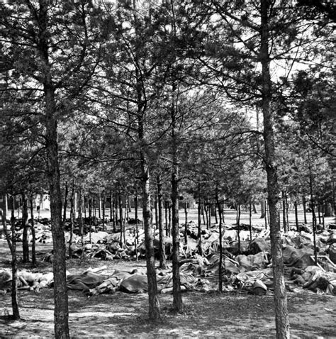 Bergen Belsen Photos From The Liberation Of The Notorious Camp 1945