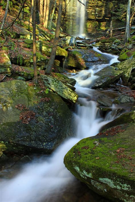 Free picture: water, waterfall, forest, stream, river, moss, creek ...