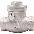 Amazon Stainless Steel Swing Check Valve Pn Cf M Wog Psi