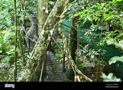 Un Sistema De Cuevas Subterr Neas De Agua Dulce En M Xico Fotograf A De