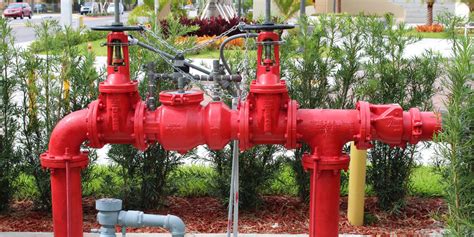 Backflow Prevention: Importance and Testing Process | Wagner