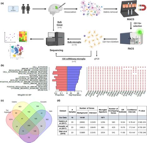 Characterization Of Our Core Human Microglial Signature A Schematic Download Scientific