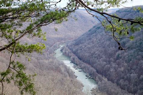 Hiking in New River Gorge National Park [Trail Guide]