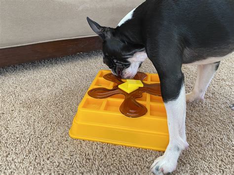 The 19 Best Puzzle Toys That Actually Help Bored Dogs | Rover.com