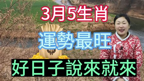 這5大生肖！3月運勢最旺！財氣沖天！橫財爆發！好運連連！日子越來越好！運勢 2024 生肖 Youtube