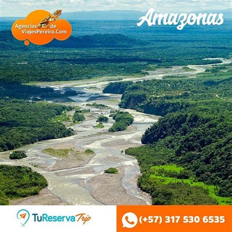 Viajes Amazonas Desde Pereira Explora Una De Las Selvas M S Grandes Del