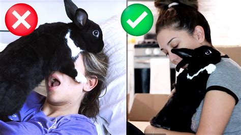 PROS & CONS Of Having a Rabbit! - YouTube