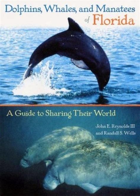 Dolphins Whales And Manatees Of Florida A Guide To Sharing Their