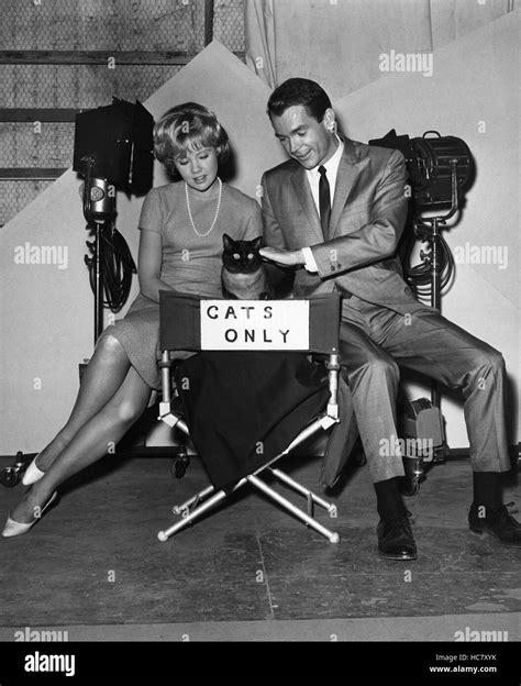 That Darn Cat Hayley Mills Dean Jones On Set 1965 Stock Photo Alamy